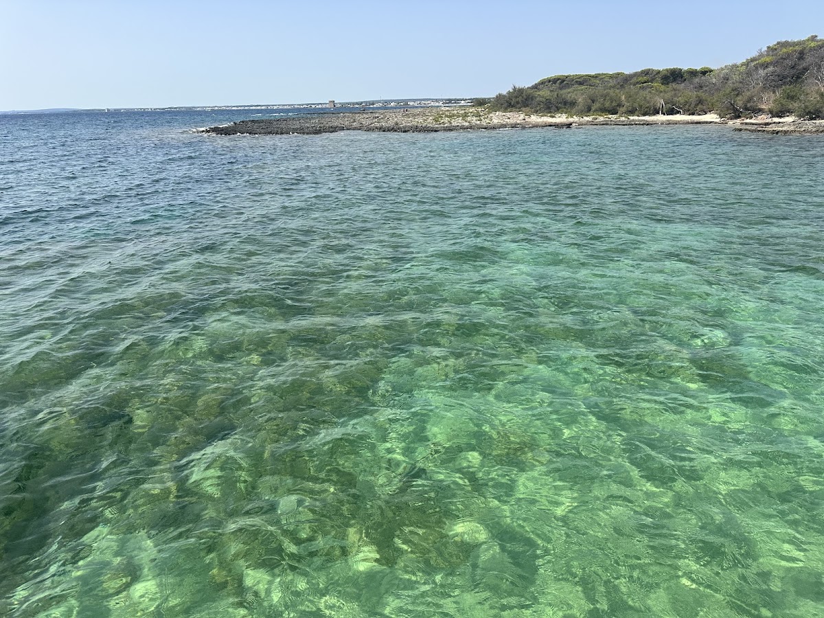 Porto Cesareo – A Mare Salento Snorkeling ed Esperienze in Catamarano