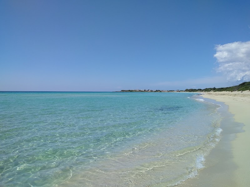 Porto Cesareo – Riserva Naturale Orientata Regionale Palude del Conte e Duna Costiera - Bosco dell'Arneo