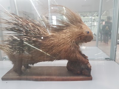 Museo di Storia Naturale del Salento